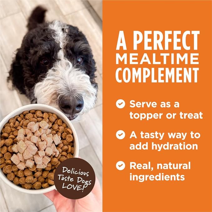Nature's Variety Instinct Healthy Cravings Grain Free Real Salmon Recipe Natural Wet Dog Food Topper, 3 Ounce (Pack of 24)