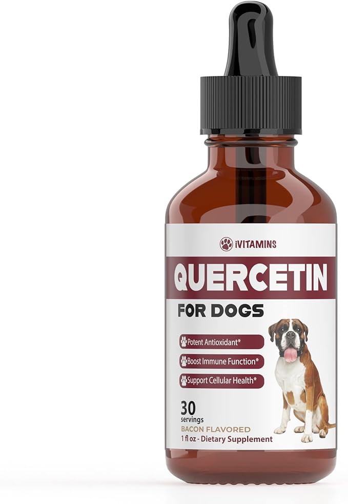 Quercetin for Dogs | Dog Allergy Relief | Quercetin for Dogs Allergies | Dog Allergy | Quercetin | Dog Allergy Support | Quercetin Dog | Dog Allergies | Quercetin Supplements | Bacon Flavor (1 Pack)