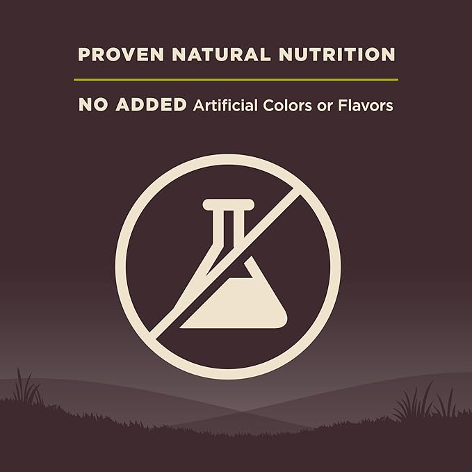 Wellness Natural Pet Food CORE Grain-Free High-Protein Small Breed Dry Dog Food, Natural Ingredients, Made in USA with Real Meat (Adult, Healthy Weight, 12-Pound Bag)