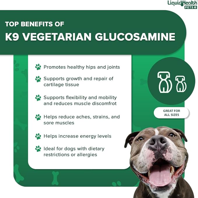 LIQUIDHEALTH 32 Oz K9 Vegetarian Liquid Glucosamine for All Dogs Canines - Chondroitin, MSM, Omega 3, Anti Oxidants Hyaluronic Acid – Joint Health, Dog Vitamins Hip Joint Juice, Joint Oil-3Pack