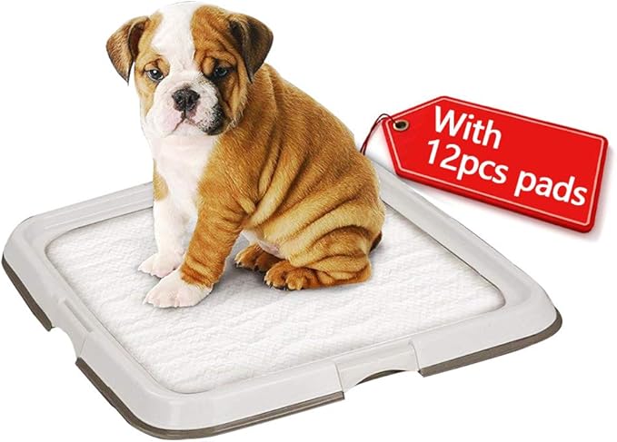 PAWISE Dog Training Pad Holder Tray, Indoor Puppy Potty Pee Pad Floor Tray with 12pcs Pee Pads
