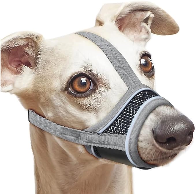 New Dog Muzzle, Breathable Drinkable Mesh Muzzle for Dogs,Anti Biting Barking Chewing,Grooming Muzzle for Dog with Anti-Drop Adjustable Anti-Drop &Shiny Reflective Strap in Night (Gray, L)