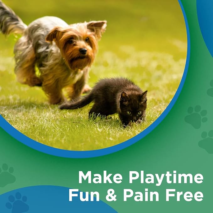 BestLife4Pets Walk Easy Hip and Joint Supplement for Dogs & Cats - Arthritis Pain Relief and Anti inflammatory Support Pills for Dogs & Cats Joint Pain Relief - Easy to Use Natural Pills