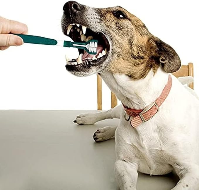 1Pc Green Dog Toothbrush, Triple Headed Toothbrush Dog Toothbrush for Pet, Dental Care, Dog Toothbrushes
