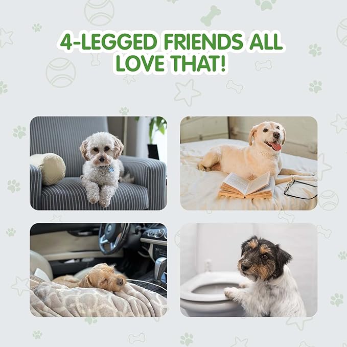 COCOYO Best Value Dog Training Pads | Dog Pee Pads | Super Absorbent Puppy Pads (17.5" x 23.5", 100 Count),Blue