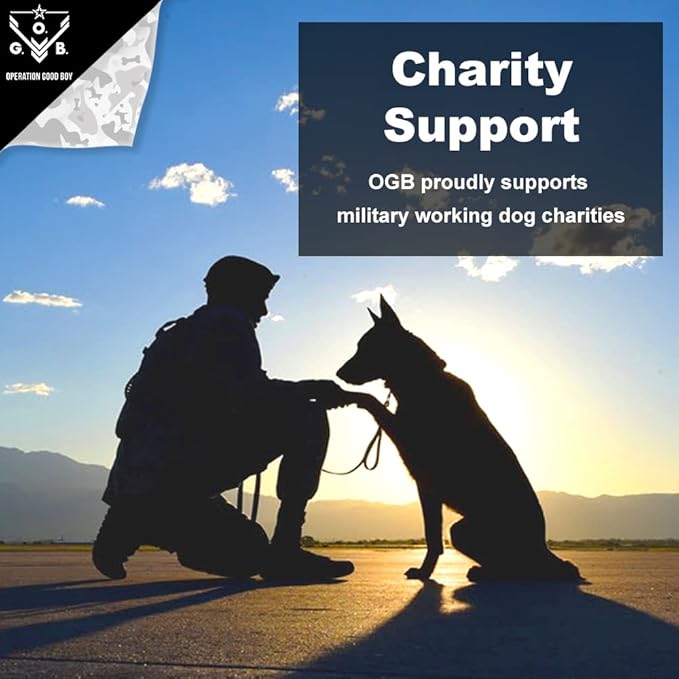Operation Good Boy Dog Treats - 1" Chicken Squares Sergeant Snacks | Natural, Farm-Raised Meat - Vet-Formulated AAFCO approved ingredients | Perfect Training Treats for Medium to Large Dogs
