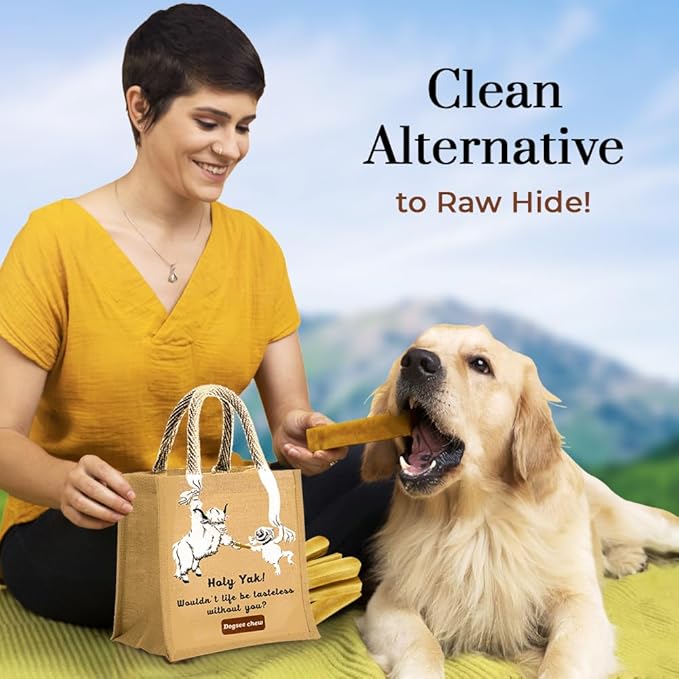 Dogsee Turmeric Flavor Himalayan Yak Milk Dental Chews for Dogs Bulk Pack 3lb (Large - 12 Chews) | Anti-inflammatory | Tasty & Healthy Treats | Premium Yak Chews for Dogs