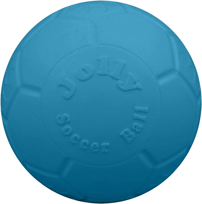 Jolly Pets Large Soccer Ball Floating-Bouncing Dog Toy, 8 inch Diameter, Ocean Blue