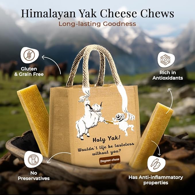 Dogsee Himalayan Yak Milk Dental Chews for Dogs Bulk Pack 3lb (Large - 12 Chews) | Made from only 3 Natural Ingredients | Tasty & Healthy Treats | Original Yak Chews for Dogs