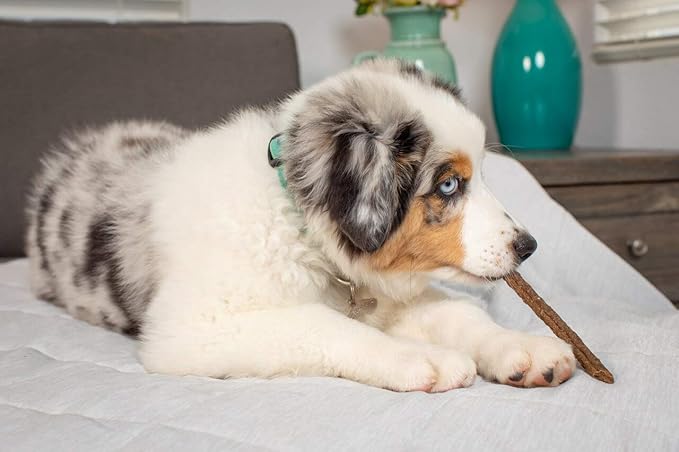 Sizzle Sticks Jerky Dog Treats | 12 oz. Bag | Product of USA - Smells Great | Chicken