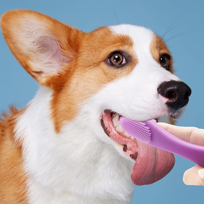 8 Pieces Dog Teeth Cleaning Kit Silicone Dog Finger Toothbrushes Double Headed Pet Tooth Brush Stainless Steel Tarter Remover Scraper for Dog Cat Oral Dental Health