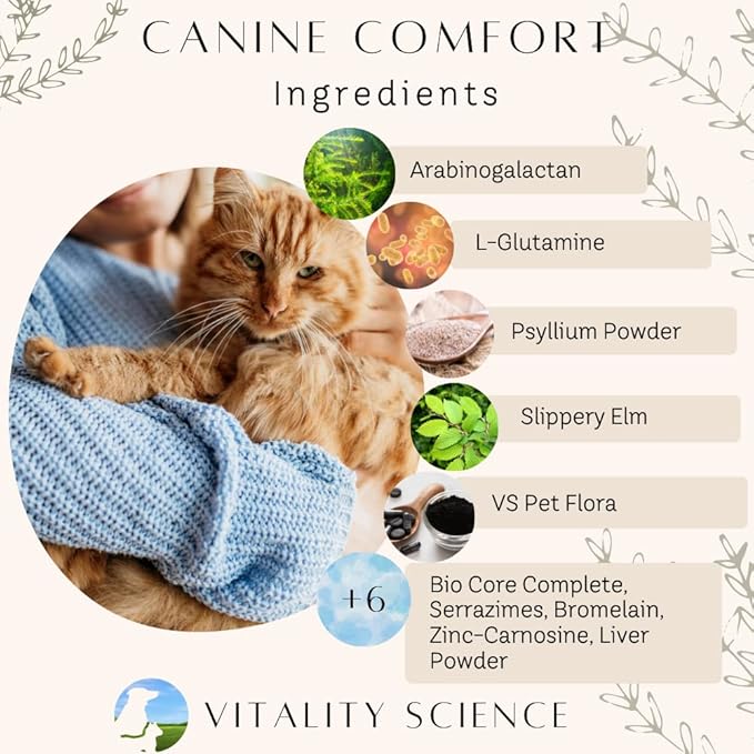 Canine Comfort for Dogs | Maintains a Healthy Intestinal Tract and Proper Gut Flora| Restores Gastric Distress | Helps with Vomiting and Diarrhea | 100% Additive Free