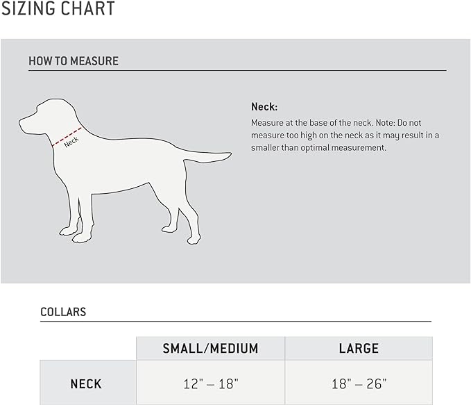 Carhartt Fully Adjustable Nylon Webbing Collars for Dogs, Reflective Stitching for Visibility, Coral Glow, Medium