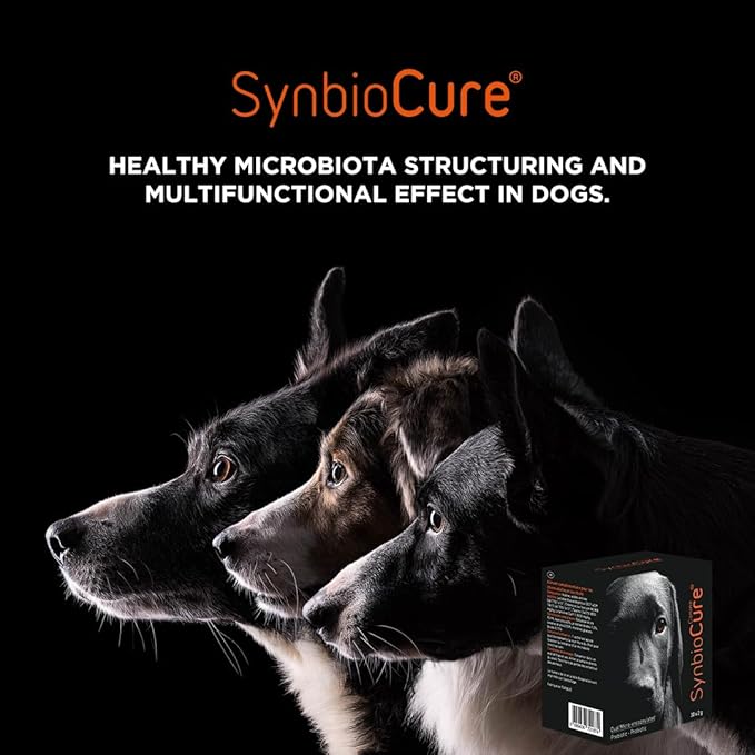 I Probiotics & Prebiotics for Dogs I Powder Dog Supplement I Digestive Health Support I 200 Billion Bacteria Per Sachet I 30 Sachets*2 g