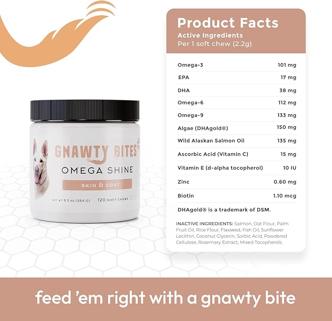 Gnawty Bites Omega Shine Dog Allergy Relief | Skin & Coat Strengthening Probiotics for Dogs with DHA Gold, Wild Alaskan Salmon Oil, Omega-6, Omega-9 & Omega-3 for Dog | 120 Soft Chews - (264 G)