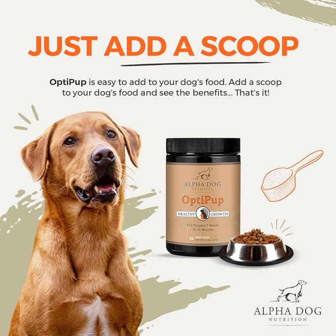 OptiPup All-in-1 Puppy Multivitamin by Alpha Dog Nutrition – Contains 31 Superfoods including Probiotics and Prebiotics for Digestive Support, Skin & Immune Health, and Optimum Growth (30 Servings)
