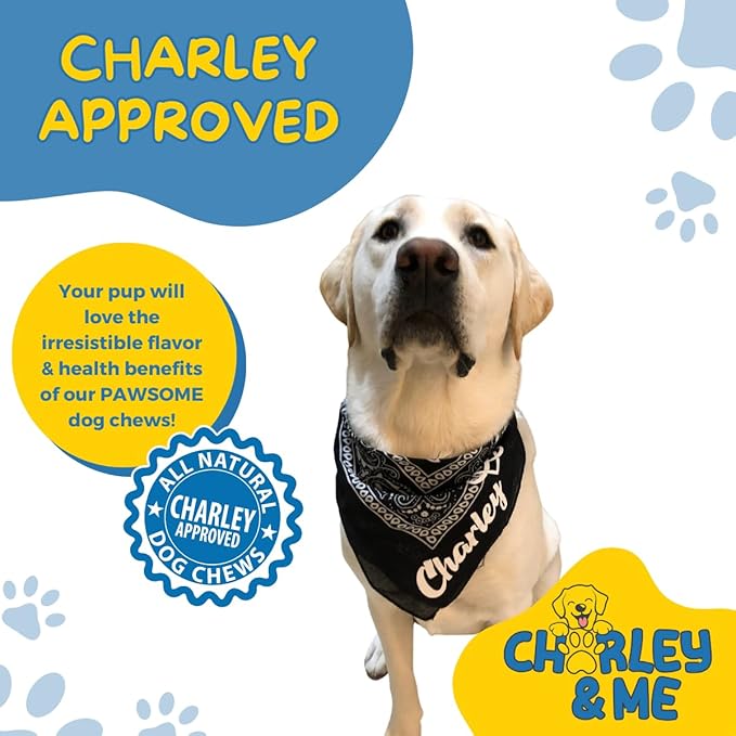 CHARLEY & ME Premium Bully Sticks for Dogs - 100% Natural Beef Dog Treats, Long-Lasting Dog Chew for Aggressive Chewers, Nutritious Joint Support for Dogs 6 Inches (Pack of 12)
