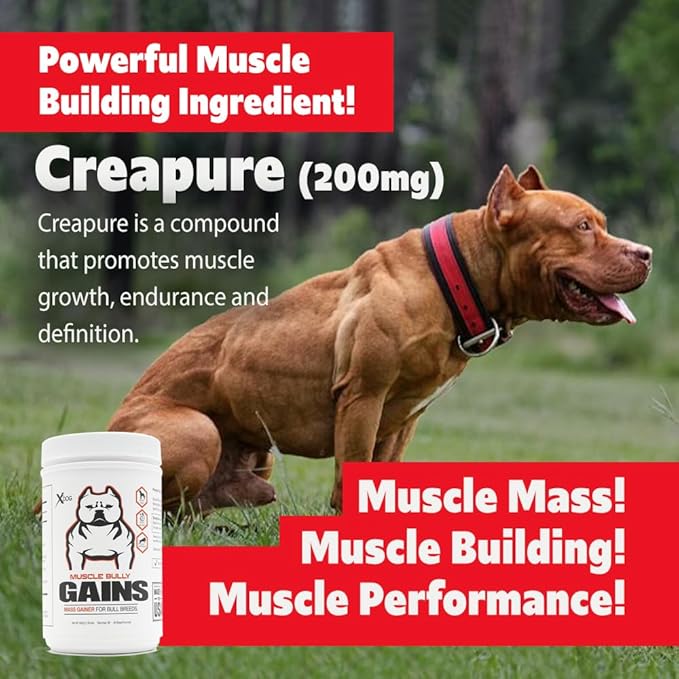 Gains - Mass Weight Gainer, Whey Protein for Dogs (Bull Breeds, Pit Bulls, Bullies) Increase Healthy Natural Weight, Made in The USA (45 Servings)
