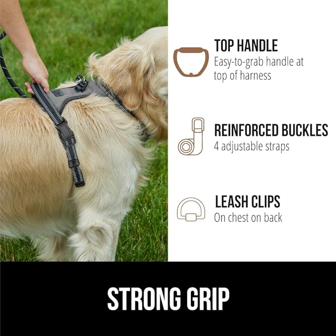 Gorilla Grip Comfortable Durable Dog Harness with Handle, Pet Leash Clips on Chest or Back for Walking, Padded Mesh Pets Vest, Adjustable Reflective Straps, Puppy Training, Gray