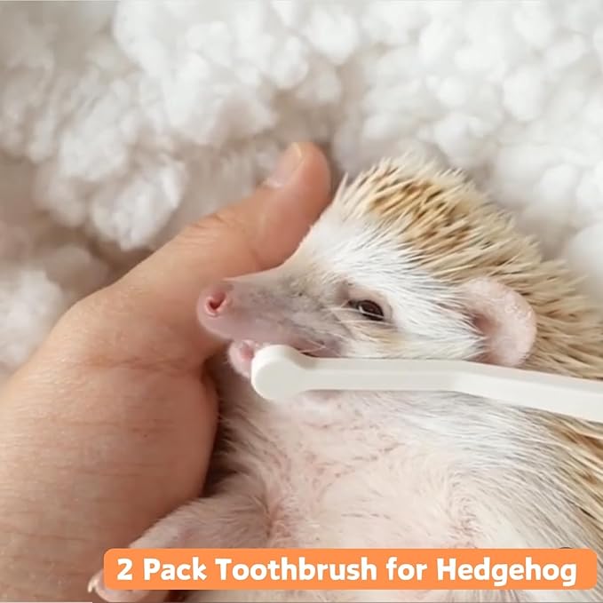 2 Pcs Pet Toothbrush for Hedgehog Small Animal Toothbrush Mini Head Soft Bristles Gentle Pet Toothbrush for Small Pets Dental Care Hedgehog Supplies Hedgehog Grooming Accessories (2 Pack)
