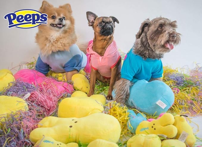 Peeps for Pets Peeps Bunny Costume for Dogs, Small | Halloween and Easter Costume for Small Dogs | Pet Costume Available in A Variety of Sizes, Please See Sizing Chart for More Details