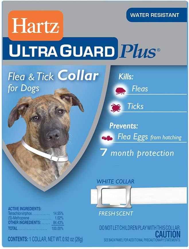 Hartz UltraGuard Flea & Tick Collar for Dogs and Puppies - 22" Neck, 7 Month Protection (pack of 4)