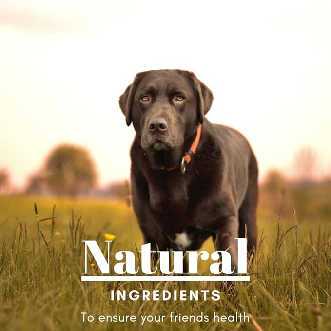 Skin Relief Stick Topical Skin Treatment for Dogs | Helps with Cuts, Burns, Rashes, Wounds, Dry Itchy Skin, Hot Spots, & Irritated Skin | Helps Restore, Heal, & Protect Skin | 2.3oz Stick