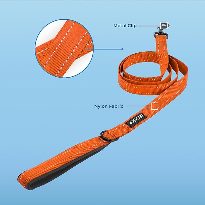 Voyager Reflective Dog Leash Collar Set with Neoprene Handle Supports Small, Medium, and Large Breed Puppies, Cute and Heavy Duty for Walking, Running, and Training - Orange, L
