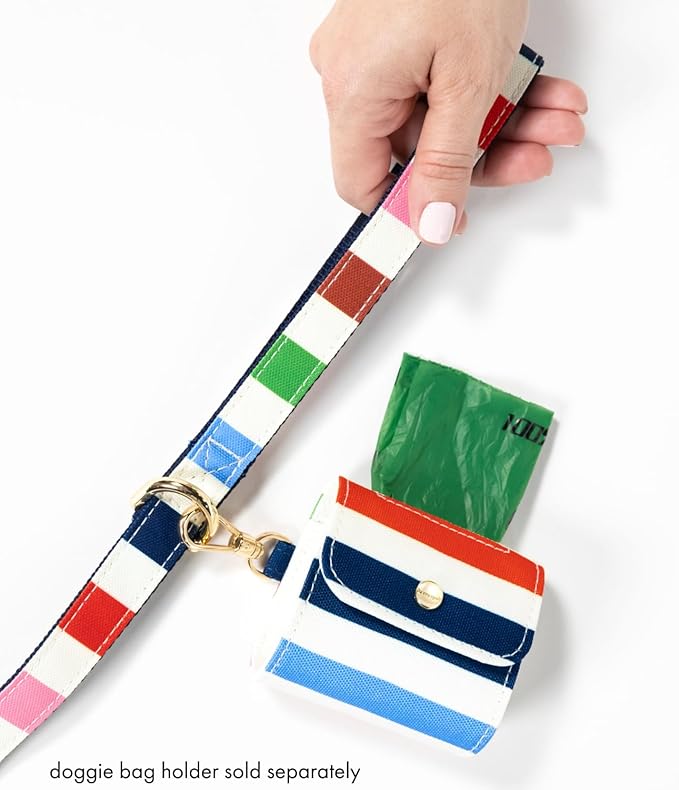 Kate Spade New York 4.5ft Dog Leash, Heavy Duty Leash for Female or Male Dogs, Cute Pet Leash with Gold Metal Hardware, Long Dog Lead for Small and Medium (Adventure Stripe)