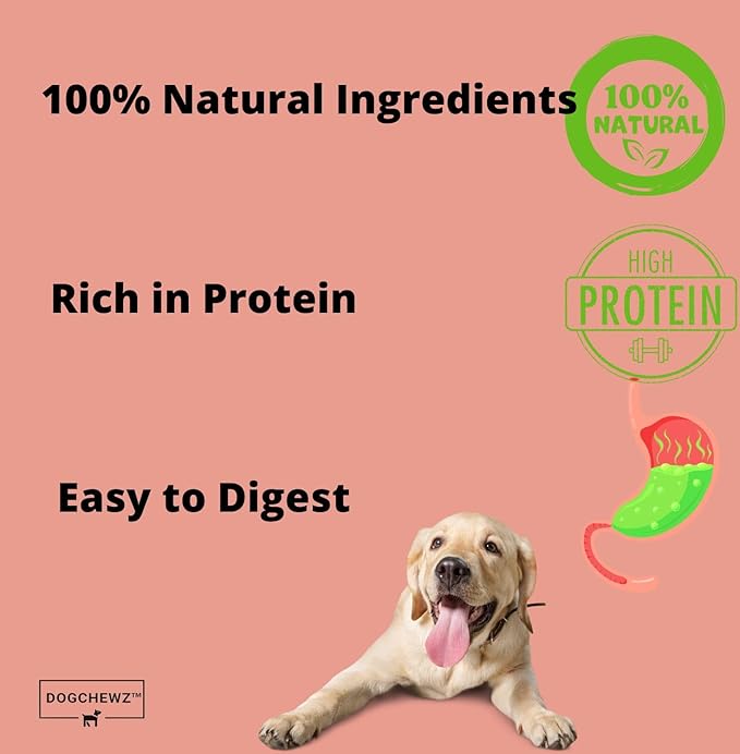 DOGCHEWZ™ Premium Chicken Breast Tender Jerky for Dogs All Natural Human Grade Dog Chew (1 LB Bag) - Single Ingredient - No Artificial Flavors or Preservatives - Whole Dehydrated Chicken