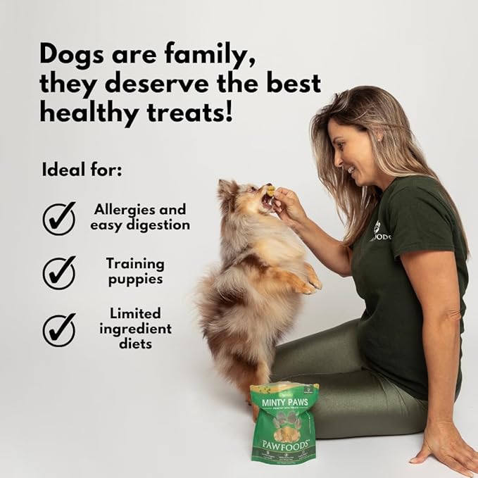 Salmon Dog Treats - Organic Dog Treats with Salmon - Shiny Coat Healthy Skin, Omega 3 & 6, Low Calorie Dog Training Treats, Healthy Dog Treats - Approx. 60 Treats Per Bag - 170g - Made in USA