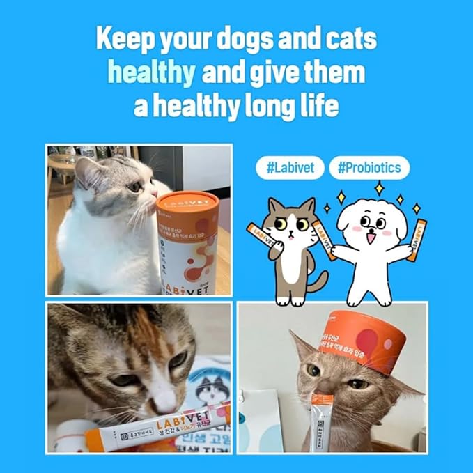 Probiotics for Dogs and Cats, Gut Health & Urinary Supplements Powder Probiotic Dog Supplement, 30 Count (Pack of 1)