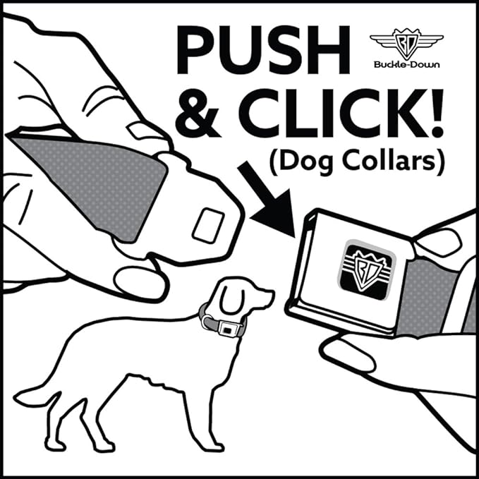 Buckle-Down Seatbelt Buckle Dog Collar - SCOOBY DOO Group Pose/Bones - 1" Wide - Fits 9-15" Neck - Small