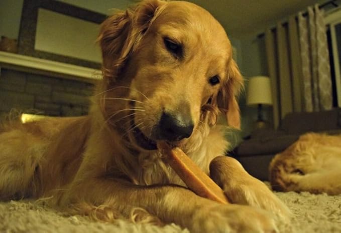 EcoKind Yak Cheese Dog Chews | 1 Stick - 5 oz. | Healthy Dog Treats, Odorless Dog Chews, Rawhide Free, Long Lasting Dog Bones for Aggressive Chewers, Indoors & Outdoor Use, Made in The Himalayans