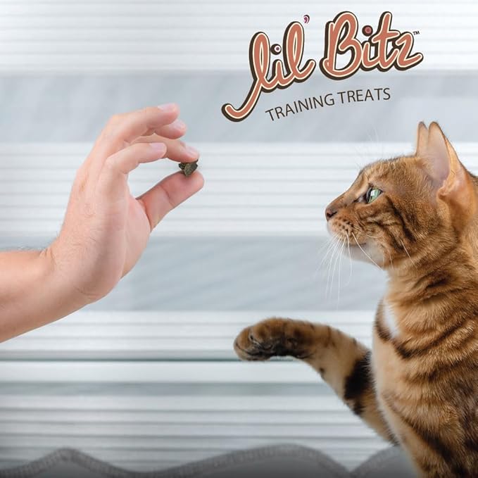 Lil' Bitz training Treats for Cats (1 Pack, All Cat Sizes - Salmon & Liver)