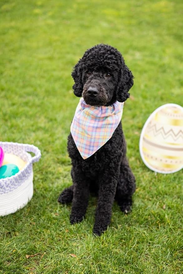 Pearhead Pet Pastel Plaid Bandana, Easter Pet Bandana, Spring Pet Gifts,Slide-On Dog Bandana, Pet Apparel, Pet Accessory, Pet Owner Gift Ideas, Medium/Large, M/L