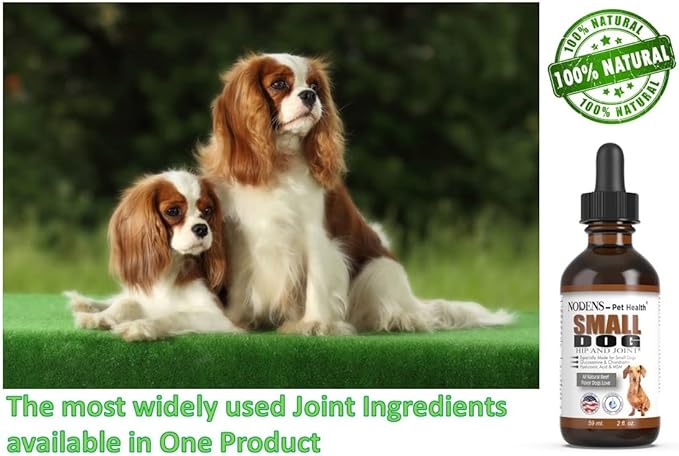 NODENS Small Dog Hip and Joint Liquid Glucosamine for Dogs with Chondroitin & MSM Hyaluronic Acid - Dog Joint Supplement for Dog Joint Flexibility - Glucosamine Natural Pain Relief for Dog Arthritis