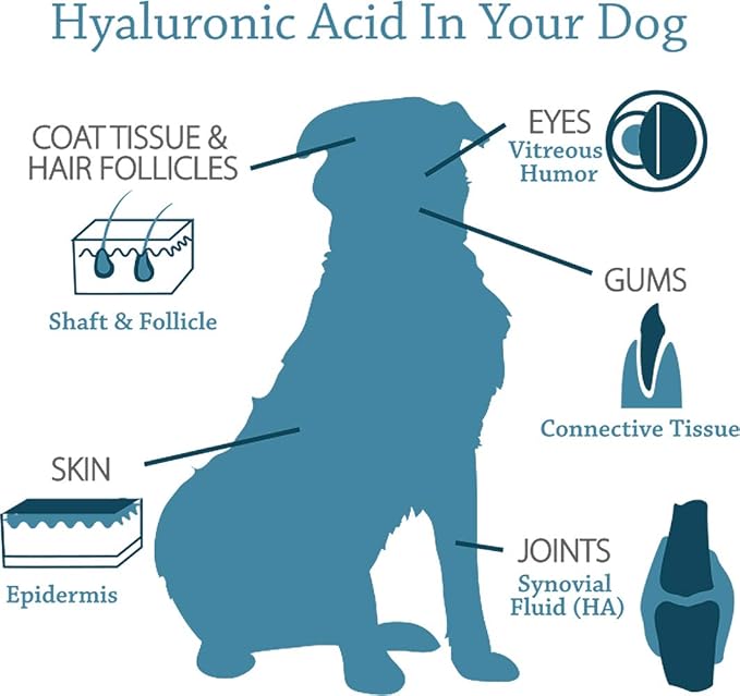 Canine Hyaluronic Acid + Zinc by Hyalogic - Joint & Immune Support, HyaFlex Pro Pure 8oz - Liquid Oral HA Dog & Pet Supplement