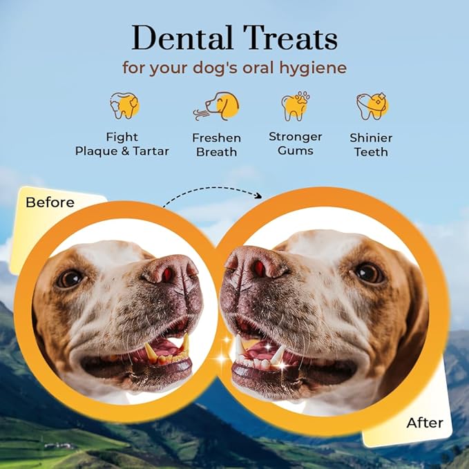 Dogsee Himalayan Yak Milk Dog Chews with Turmeric (Large - 1 Chew) | Help Alleviate Joint Pain | No Rawhide | Calming Dental Chews for Dogs