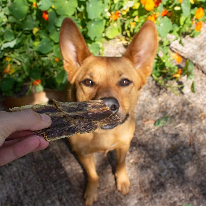 Visionary Pet Foods - Organic Beef Jerky Dog Treats | Grain Free, Healthy and Natural Pet Snacks | Training Treats or Chewable Dental Dog Snack for Small, Medium or Large Breeds 10oz Bag, 248g