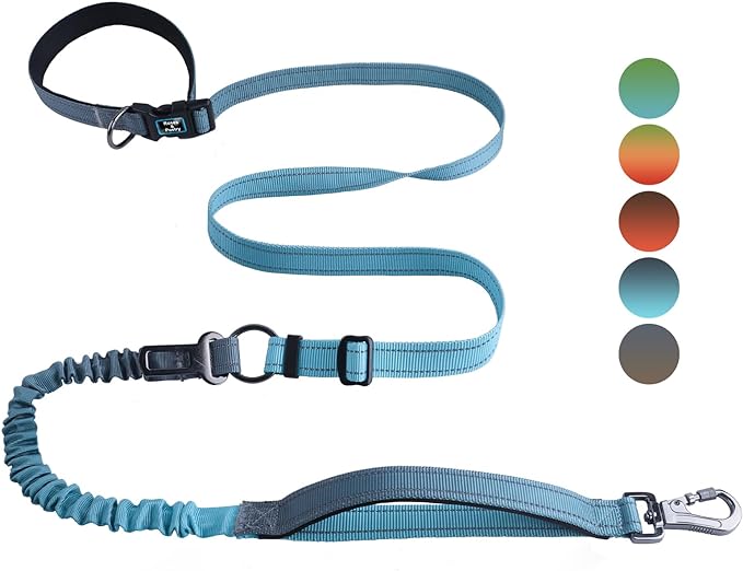 Roses&Poetry Dog Leashes for Large Dogs Heavy Duty,No Pull Bungee Dog Running Waist Leash for Walking Training with Car Seatbelt 4-6FT