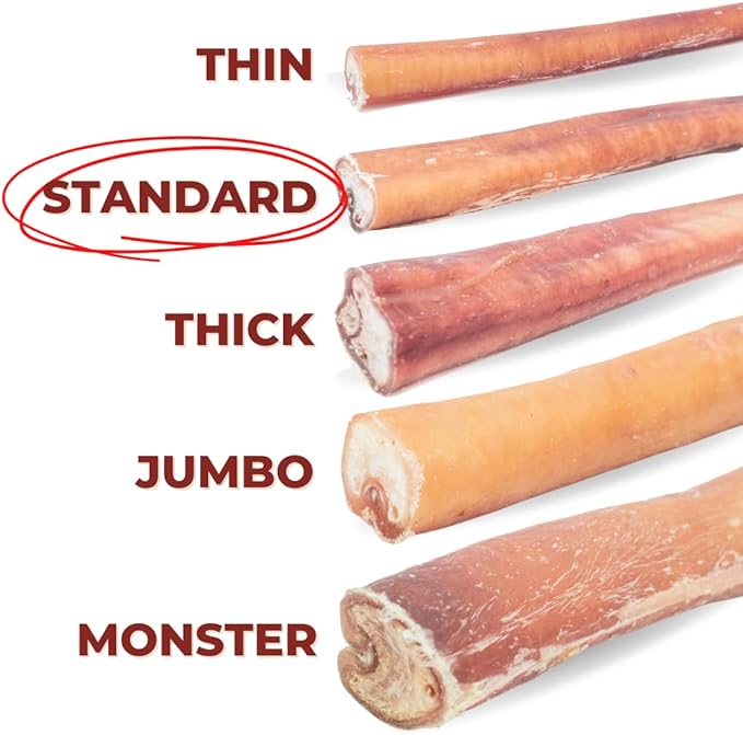 Bully Bunches Premium 12 Inch Standard Odor-Free Bully Sticks for Small & Medium Dogs - Long Lasting Chews for Oral Care - All Natural & fully Digestible, 100% Beef Dog Treat, Rawhide Free (10 Pk)