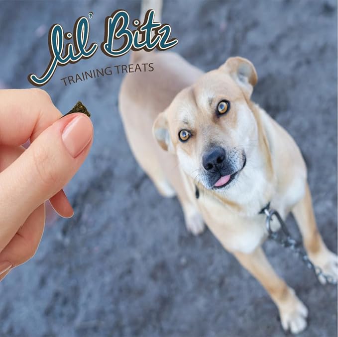 Lil' Bitz Flame Roasted Chicken Training Treats for All Dog Breeds - Low Calories, Grain Free, Natural Ingredients, NASC Compliance - Perfect Reward for Dogs of Every Size (12 Pack)