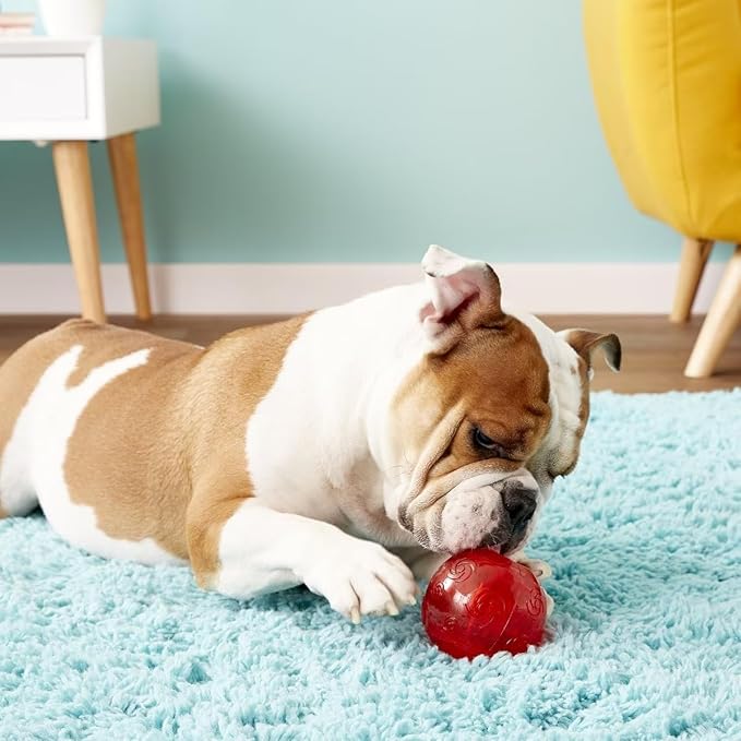 KONG Squeezz Ball Dog Toy - Assorted Medium (2.5" Diameter) - Pack of 3