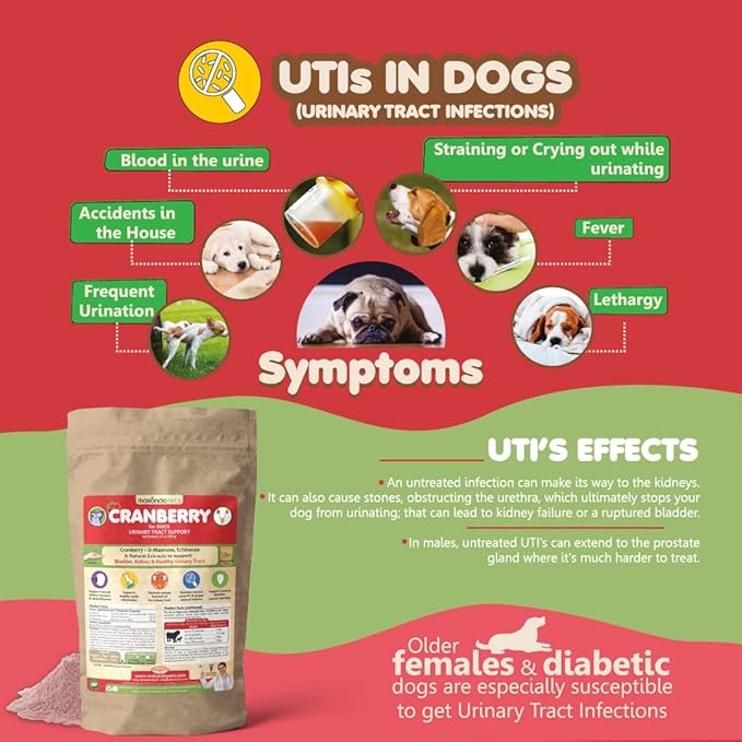 Dog Cranberry Supplement - Natural Dog UTI Treatment & Kidney Support for Dogs. Dog Supplement Powder Same as Cranberry Pills for Dogs. Puppy Supplies for Dog Pee Health - Dog Incontinence Product