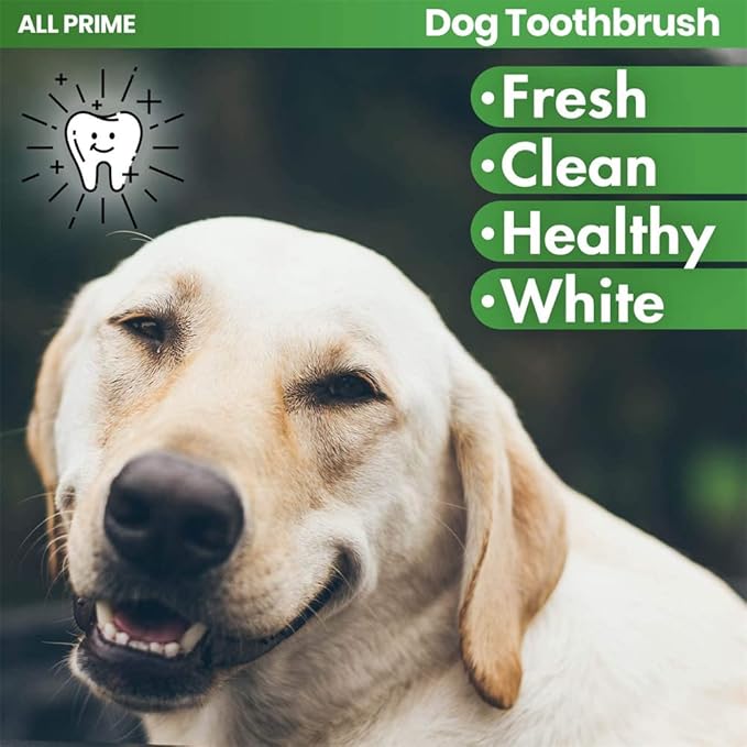 Dog Toothbrush Kit,4-Piece Set with Toothpaste Fingerbrush,Cat Teeth Cleaning,Pet Oral Dental Care Fresh Breath Brush,Cute Puppy Whitening Cleansing for Small Large Dogs,Beef Flavor