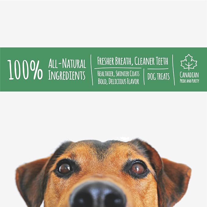 Dehydrated Chicken Gizzards for Dogs, 200g Bag, Natural Oven Baked Pet Treats, Fresh and Delicious Training and Behavior Rewards, Healthy Proteins and Vitamins
