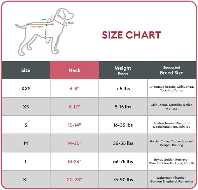 KONG Max HD Ultra Durable Neoprene Padded Dog Collar (Medium, Blue)