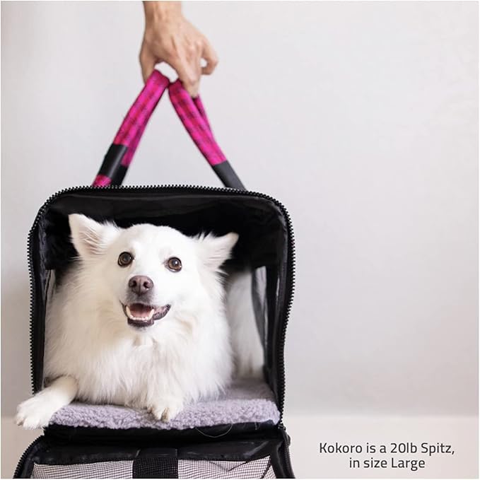 ROVERLUND Airline-Compliant Pet Carrier | includes Leash | Suitable for Pets up to 20lbs
