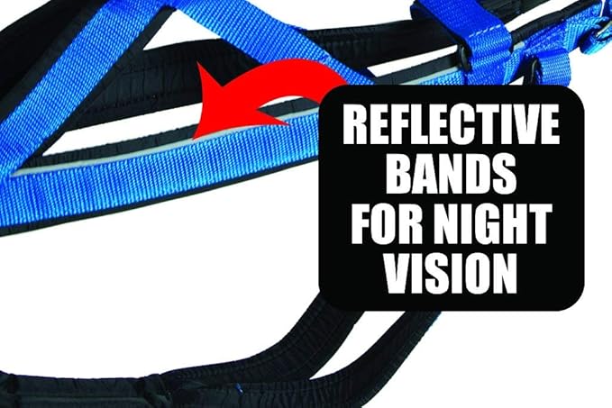 Neewa Adjustable Racing Harness (Small, Blue) - Ideal for Dog Pull with Bike, Skateboard, Rollerblade, Cart, Canicross